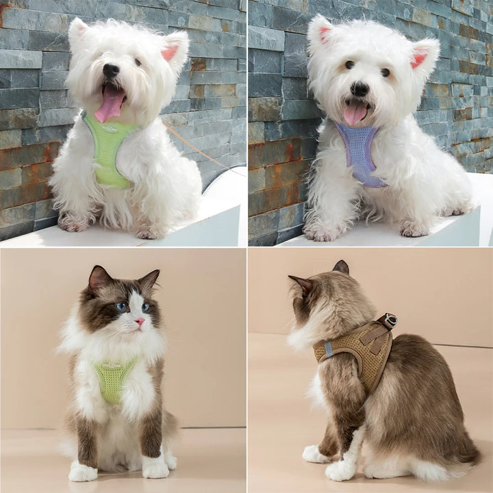 Dog Cat Collar with Leash, Breathable Waffle Pet Vest