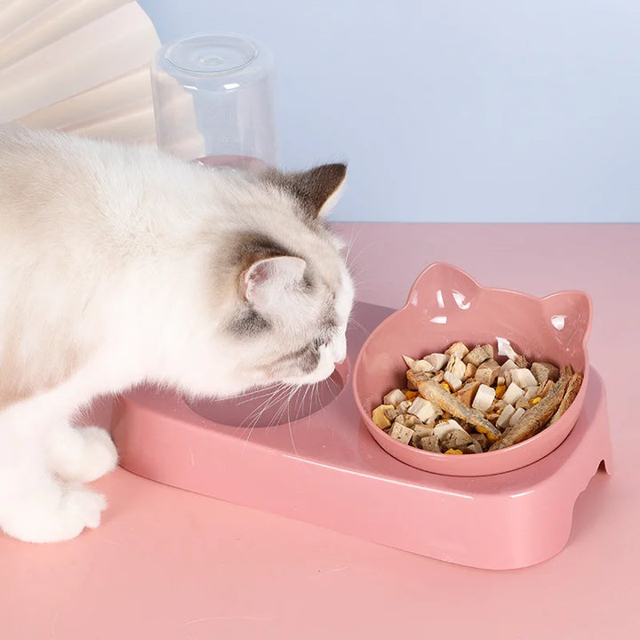 Pet Dog and Cat Bowl – Automatic Feeder