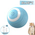 Smart Interactive Ball for Cats – Electronic Magic Ball