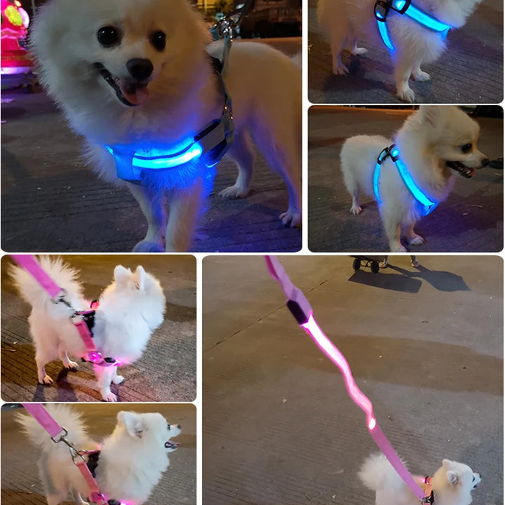 Adjustable LED Dog Harness No Pull Small Medium Glowing Nylon Breast-Band Night Safety Arnes Perro Dropship Pets Dog Accessories