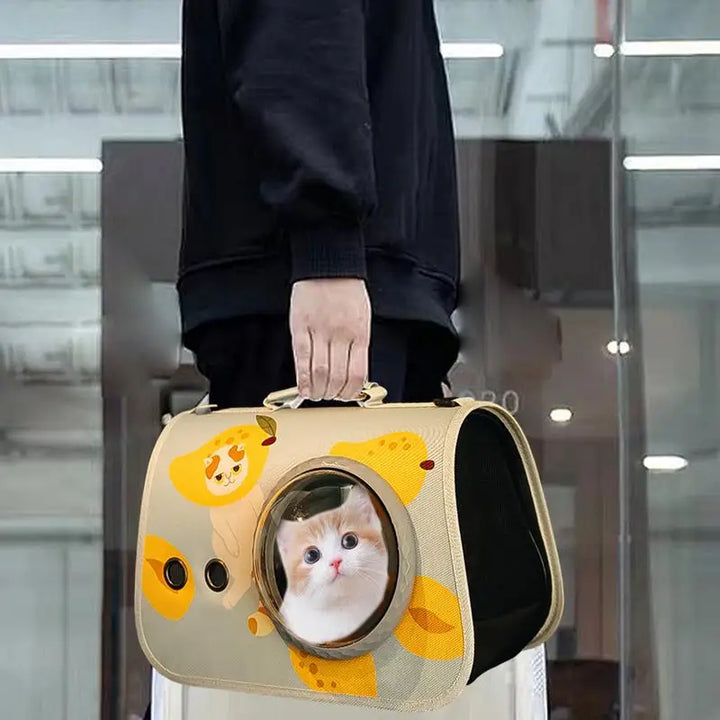 Cat Transport Bag – Transparent Bubble Backpack 🎒