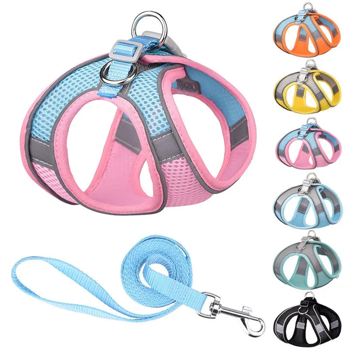 Adjustable Dog Collar and Harness Set for Small Dogs