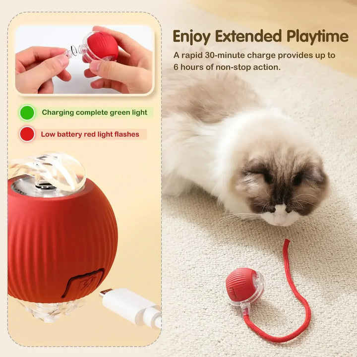 Interactive Cat Toy Ball with Tail – Smart Toy