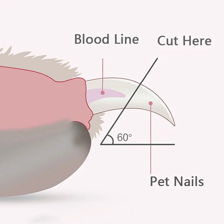 Professional Pet Nail Clipper with LED Light –