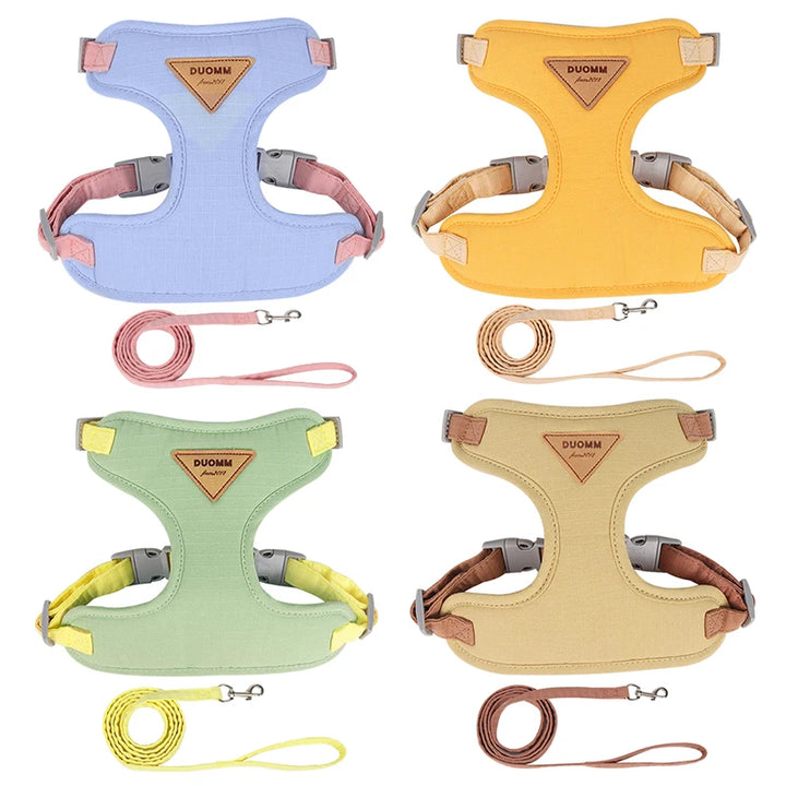 Collar and harness set for small and medium dogs