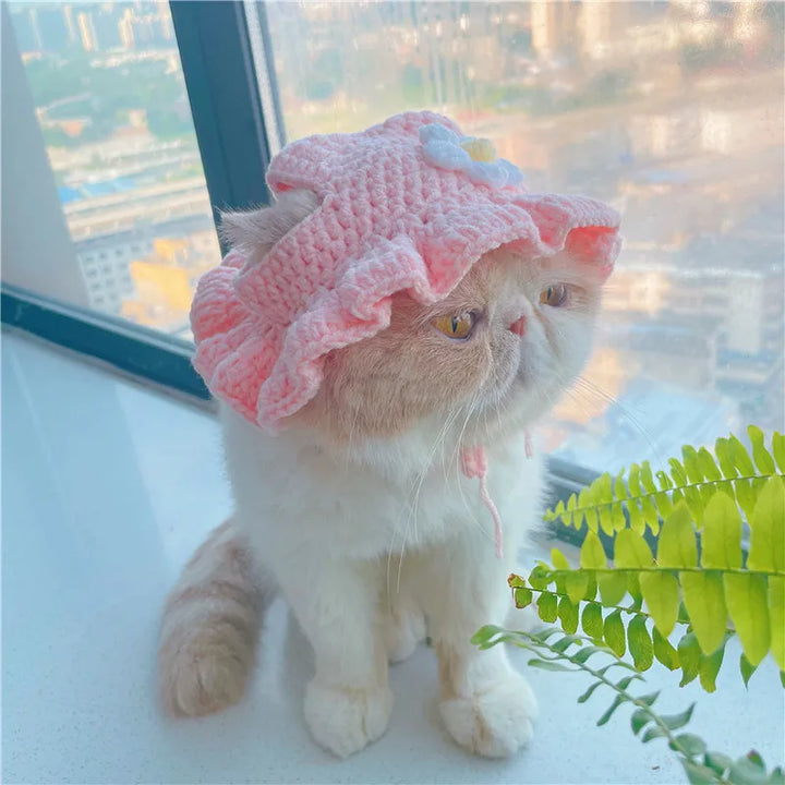 Autumn Winter Cat Hat Elastic Cute Refined Hat