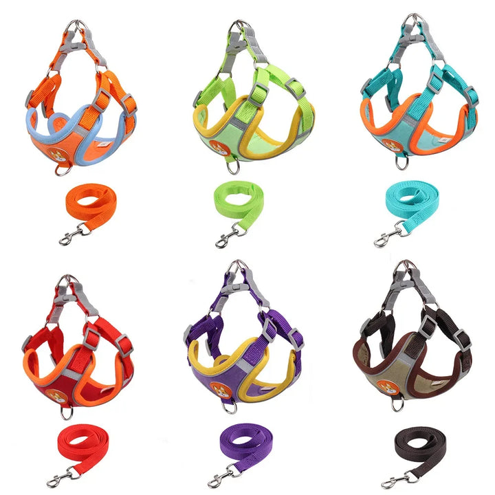 Adjustable Dog Collar Set for Small and Medium Dogs