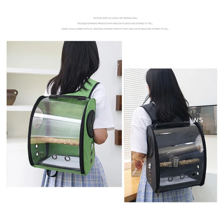 Bird Transport Bag – Transparent Bubble Backpack 🦜