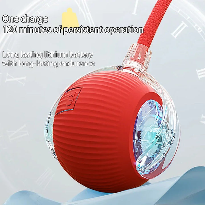 Interactive Cat Toy, Automatic Rolling Ball Cat USB Rechargeable, Antistress Indoor Toys for Cats, Electric Cat Ball Toy