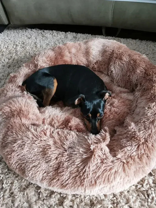 🐾 Round Plush Dog and Cat Bed – Donut Mat