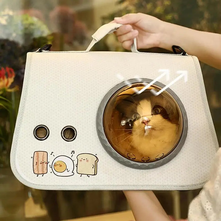 Cat Transport Bag – Transparent Bubble Backpack 🎒