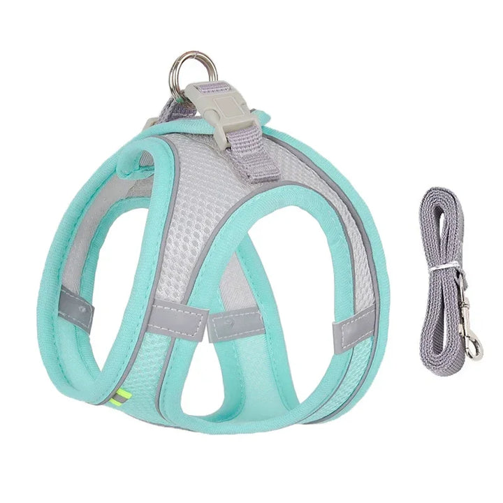 Stylish adjustable harness kit for small dogs