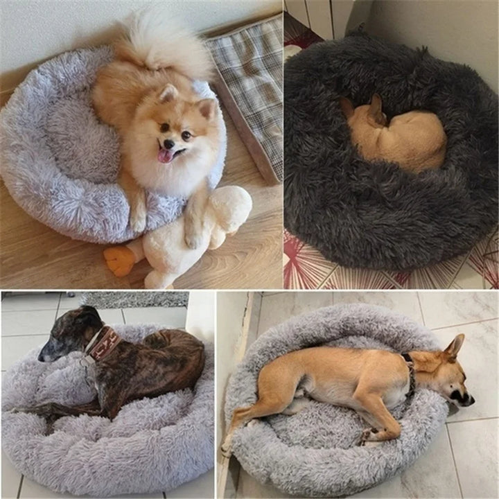 Donut Mand Dog Accessories for Large Dogs Cat's House Plush Pet Bed for Dog XXL Round Mat For Small Medium Animal Calming Sofas