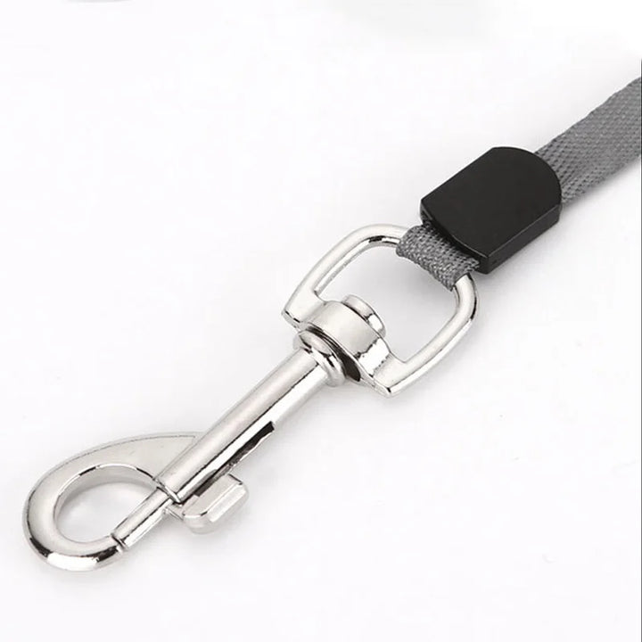 3/5M Nylon Dog Leash Automatic Retractable Durable