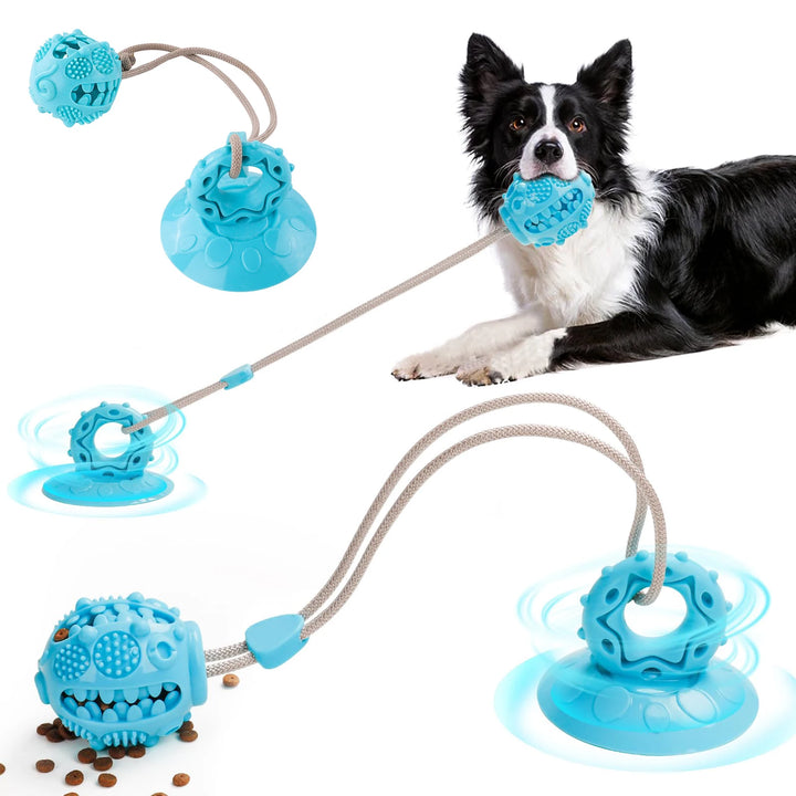 Suction Cup Tug Toy – The Ultimate Chew and Tug Game