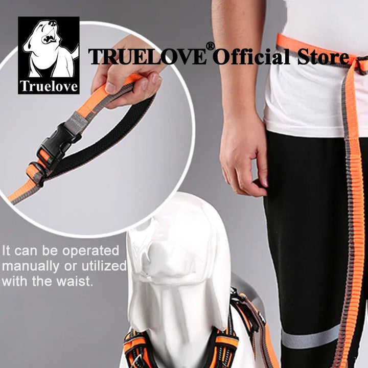 Truelove Pet Running Bungee Leash Hands Free