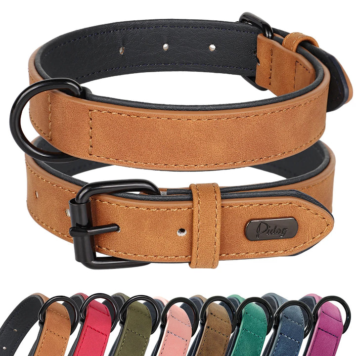 Large dog collar, soft padded collar, durable