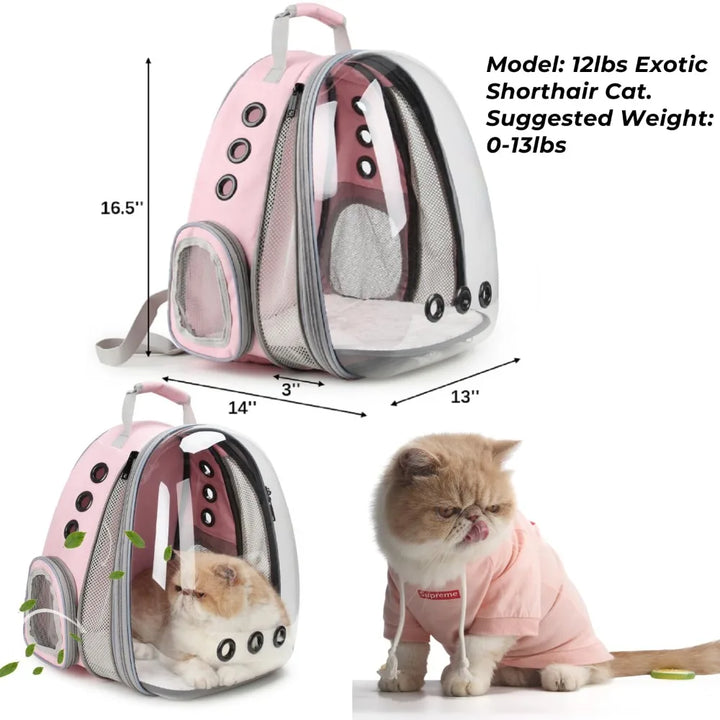 Expandable Cat Backpack – Maximum Comfort