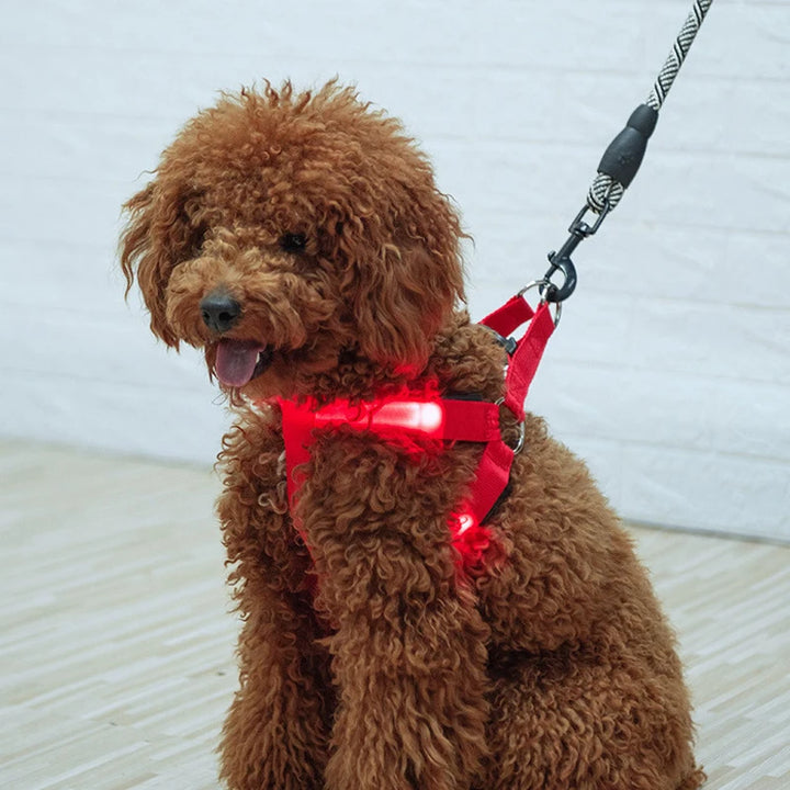 Fashion LED Electronic Pet Harness Nylon Dog Accessories Flashing Light Pet Leash Rope Belt Dog Glowing Vest Pet Supplies