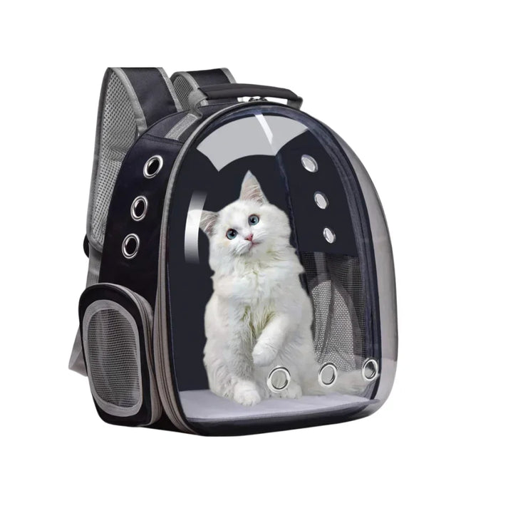 Airline Approved Travel Pet Cat Carrier Backpack