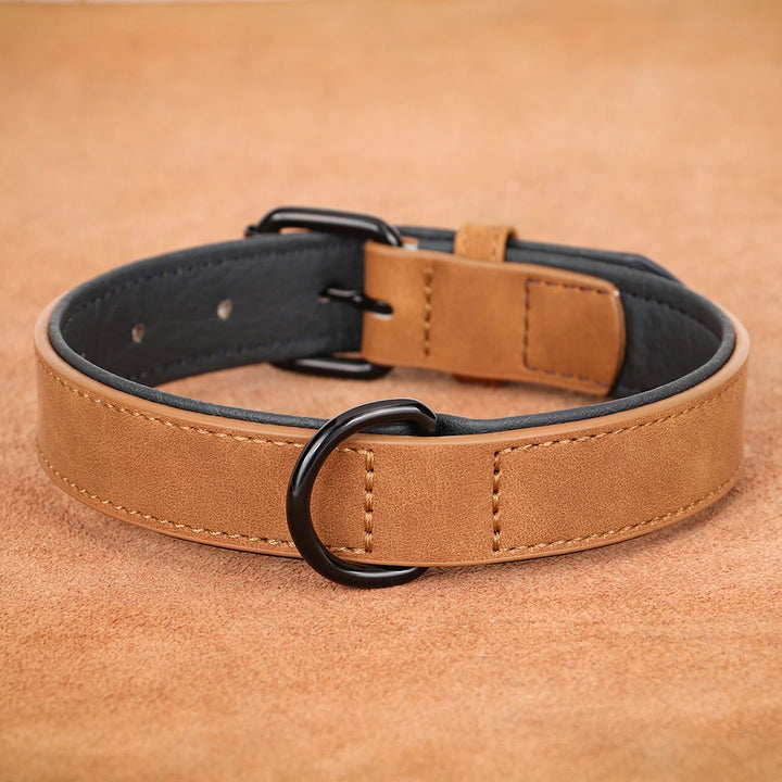 Large dog collar, soft padded collar, durable