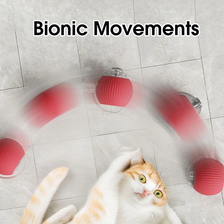 Interactive Cat Toy Ball – Automatic Rolling Magic Ball