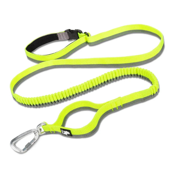 Truelove Pet Running Bungee Leash Hands Free