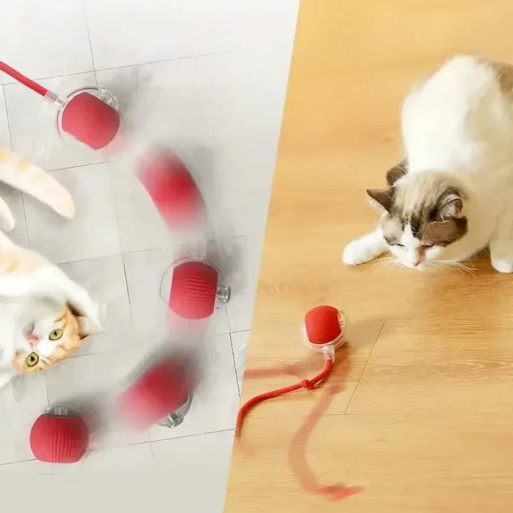 Interactive Cat Toy Ball with Tail – Smart Toy