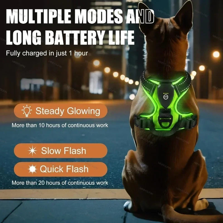 LED Light Up Dog Harness No Pull Adjustable Rechargeable Pet Vest Harness Small Medium Large Dogs Outdoor Walking Pet Supplies