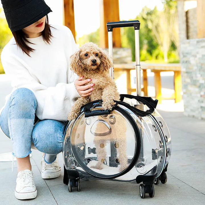 Breathable Bubble Pet Stroller Carrier Backpack