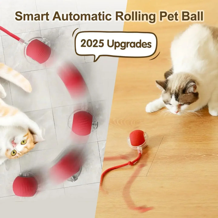 Interactive Cat Toy Ball with Tail – Smart Toy