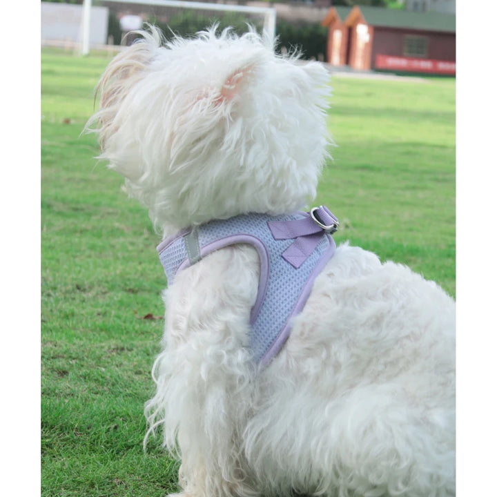 Dog Cat Collar with Leash, Breathable Waffle Pet Vest