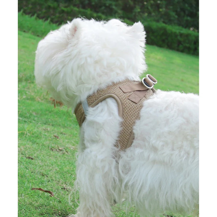 Dog Cat Collar with Leash, Breathable Waffle Pet Vest