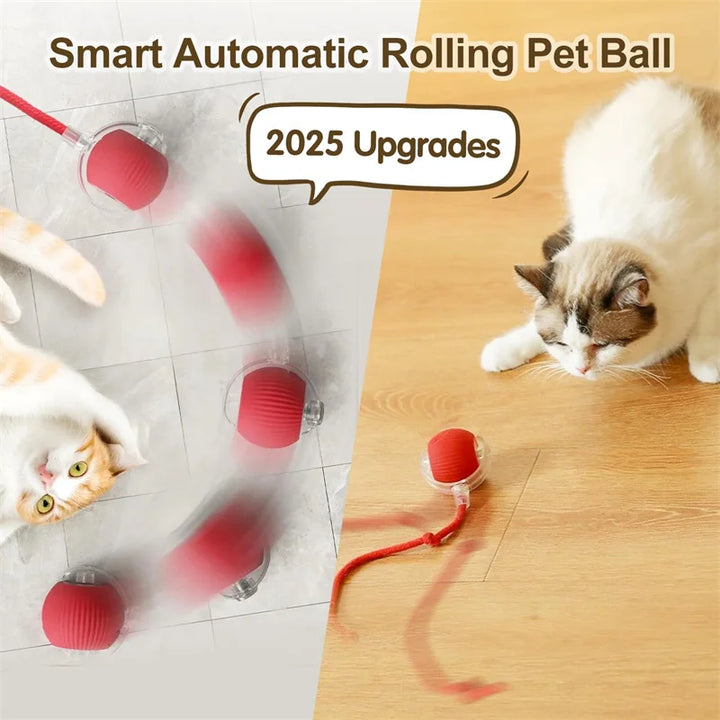 Interactive Cat Toy, Automatic Rolling Ball Cat USB Rechargeable, Antistress Indoor Toys for Cats, Electric Cat Ball Toy