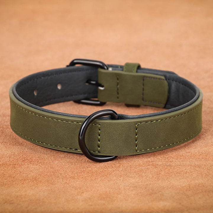 Large dog collar, soft padded collar, durable