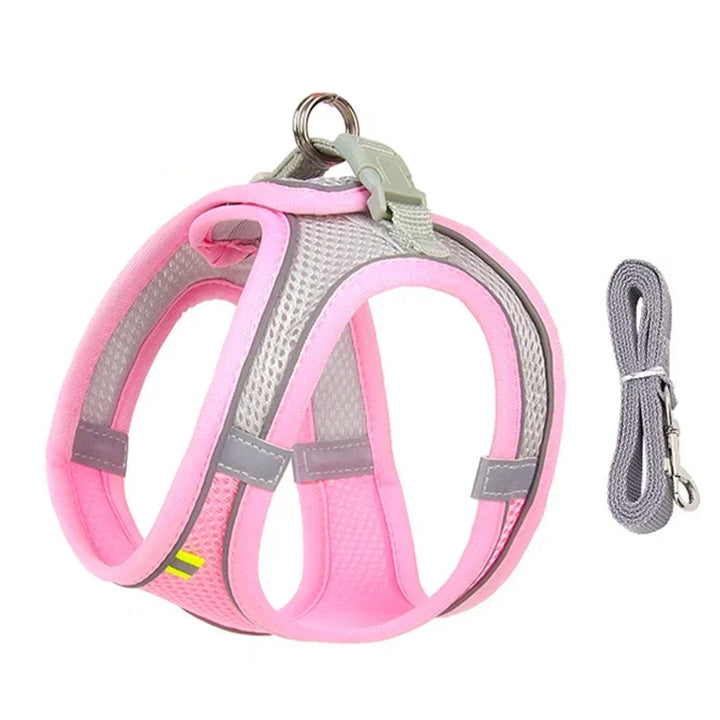 Stylish adjustable harness kit for small dogs