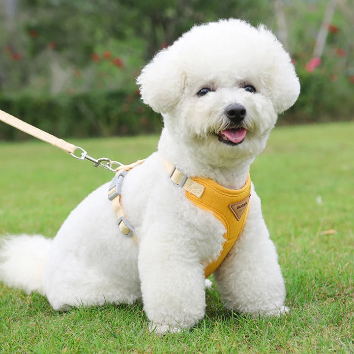 Collar and harness set for small and medium dogs