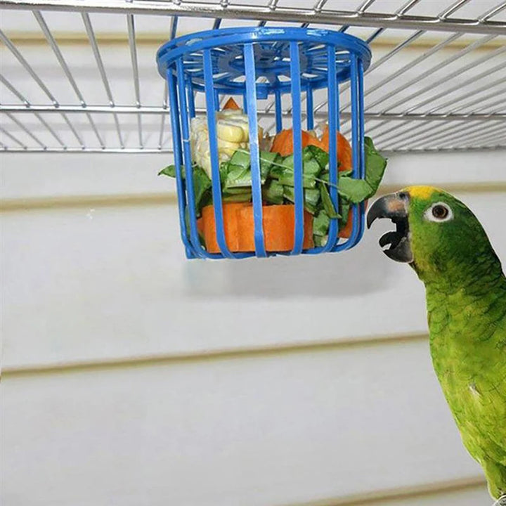 3 Pieces Parrot Feeder Bird Cage Toy