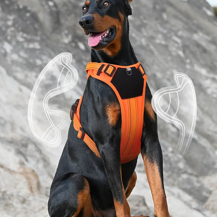 Pet Harness, Multifunctional Harness