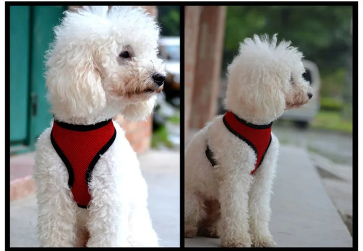 Pets Dog Harness For Small Dogs Cats No Pull Breathable Mesh Chest Strap Safety Dog Harness Vest Adjustable Collar Breast-Band