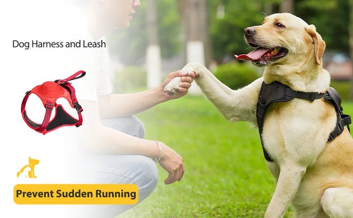 ATUBAN 2-in-1 Dog Harness,No Pull Pet Harness with Self-shrinking Leash,Auto Lock Function to Stop Dog Suddenly Running,Training