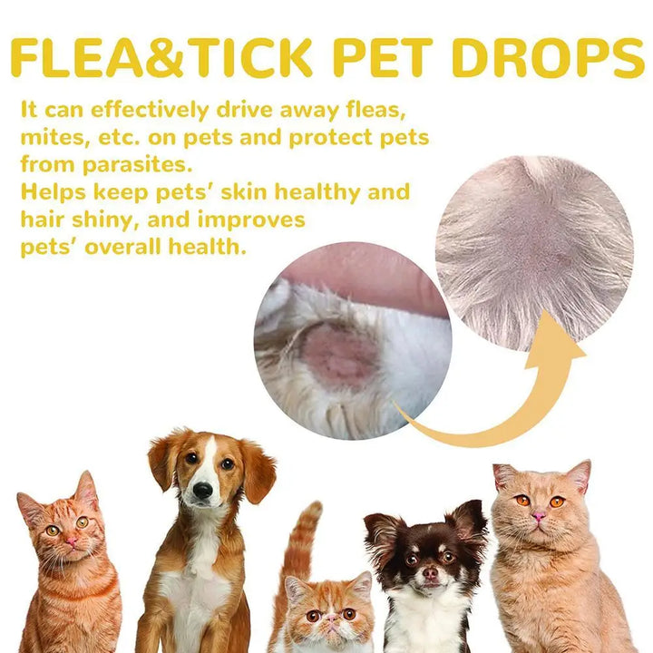 Anti-flea and tick treatment drops for dogs and cats