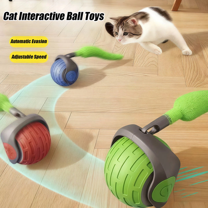 Interactive Electric Cat Ball – USB Rechargeable Toy