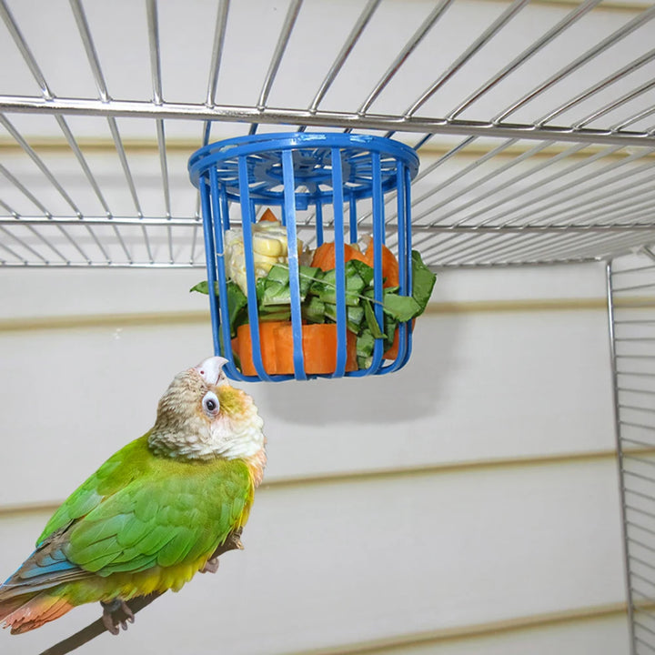 3 Pieces Parrot Feeder Bird Cage Toy