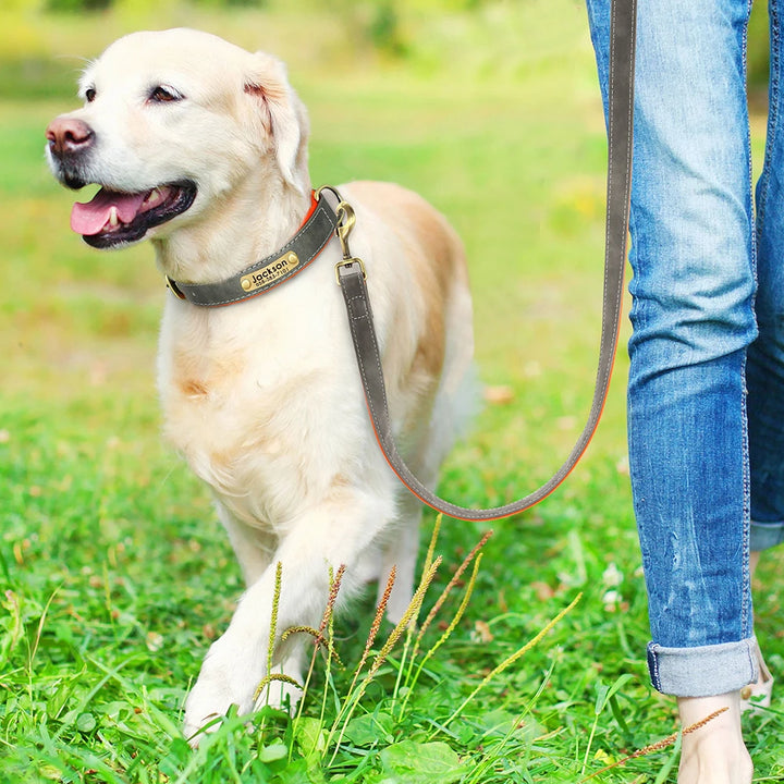 Personalized Leather Dog Leash Set with ID Tag