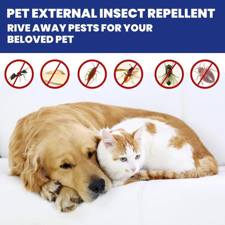 100ml Pet Dog Cat Anti Flea Drops Flea Insecticide