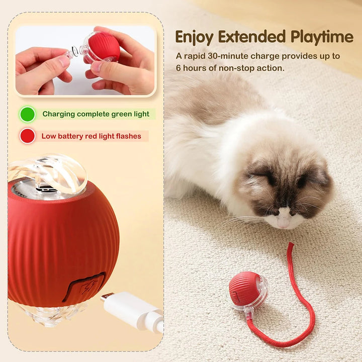 Interactive Cat Toy Ball – Automatic Rolling Magic Ball