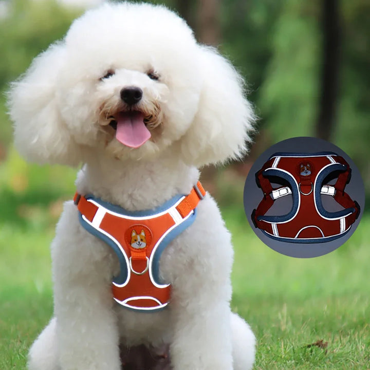 Adjustable Dog Collar Set for Small and Medium Dogs