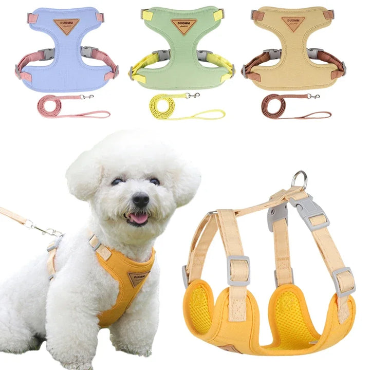 Collar and harness set for small and medium dogs