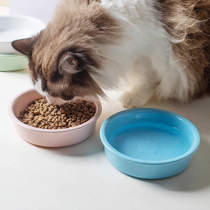 Slow Feeder Bowl for Dogs and Cats – Pet Feeder